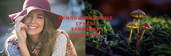 прущие грибы Алексин