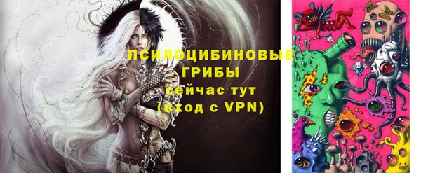 a pvp Алзамай