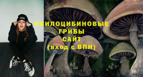 гидра Алексеевка