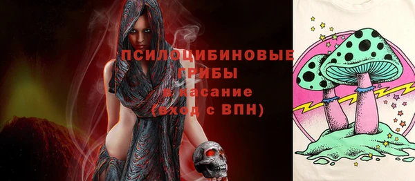 прущие грибы Алексин